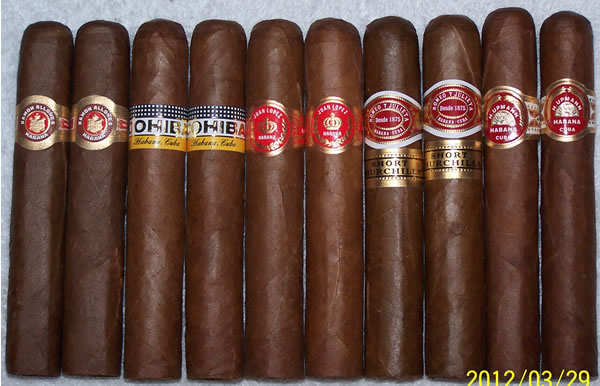 RobustoSamplertwo.jpg