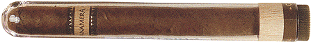 zguantanameracristales.gif